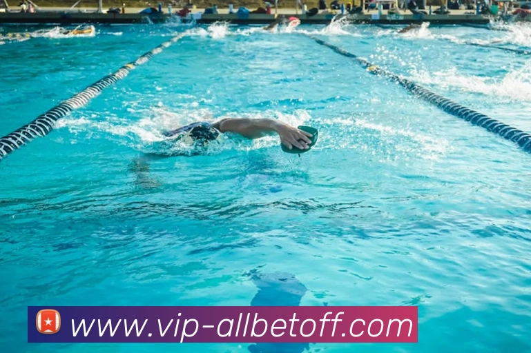 欧博官方中心发展历程